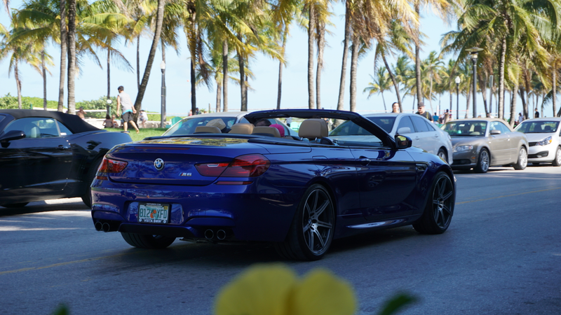 Illustration for article titled Florida, Seen Through The Eyes Of A Car Enthusiast